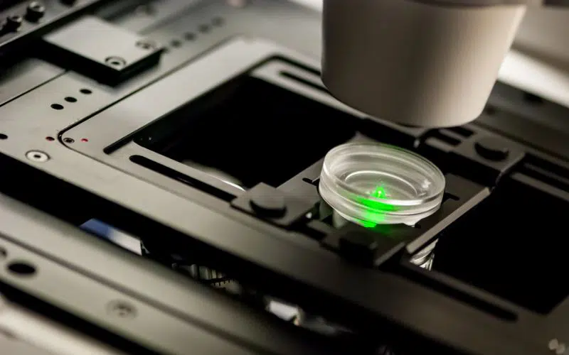 在共聚焦激光扫描荧光显微镜上观察到的生物学样本